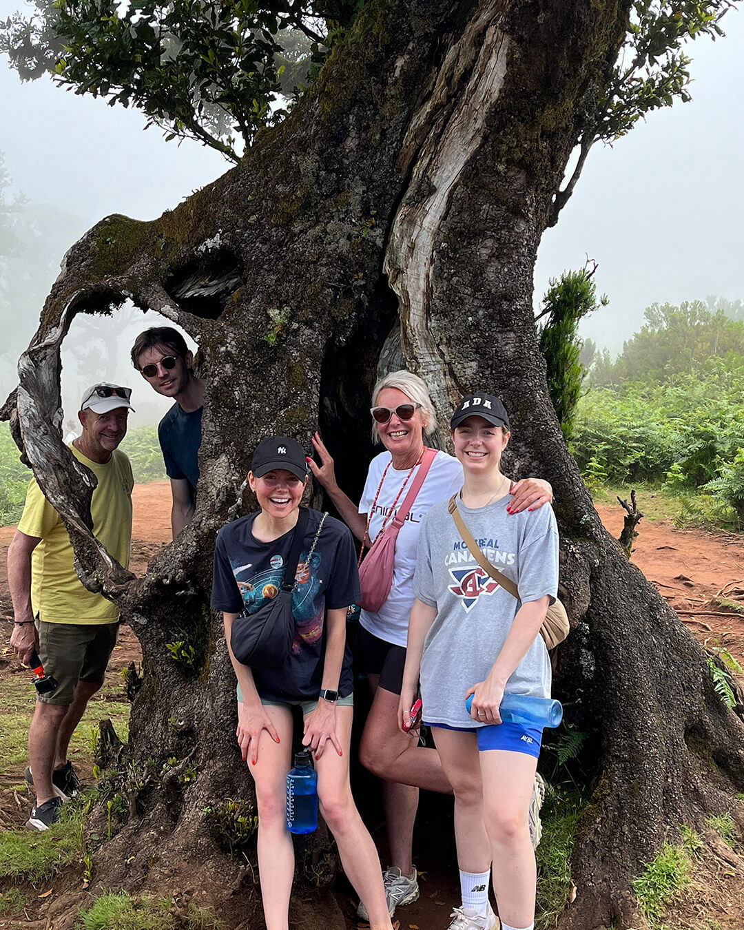 madeira-green-and-blue-fanal