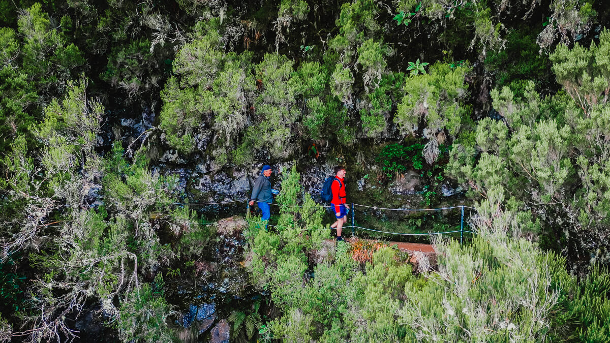 Two men hiking a levada trail in nature