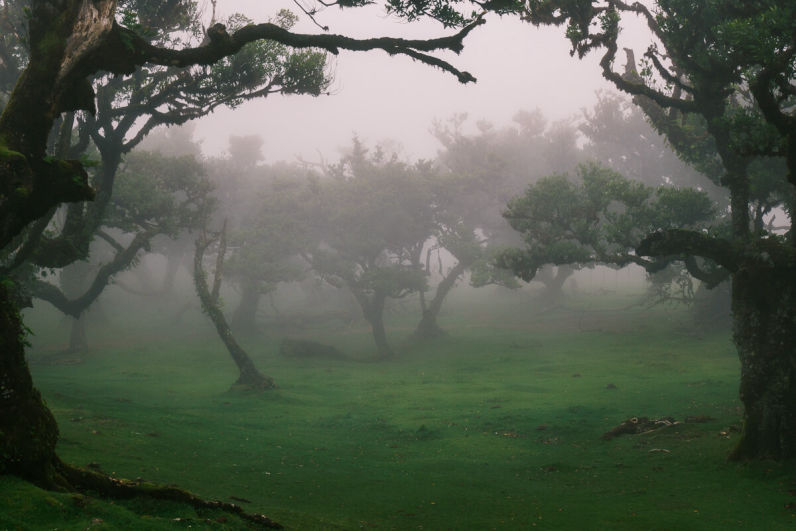 Madeira Green & Blue / Northwest Tour